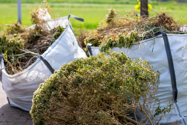 Best Shed Removal  in Woodsboro, MD